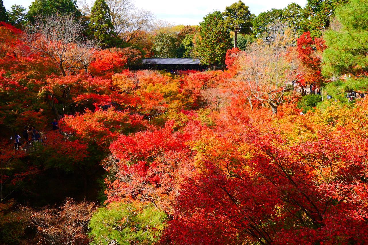 Japaning Hotel Libre Tofukuji Kyoto Exterior photo
